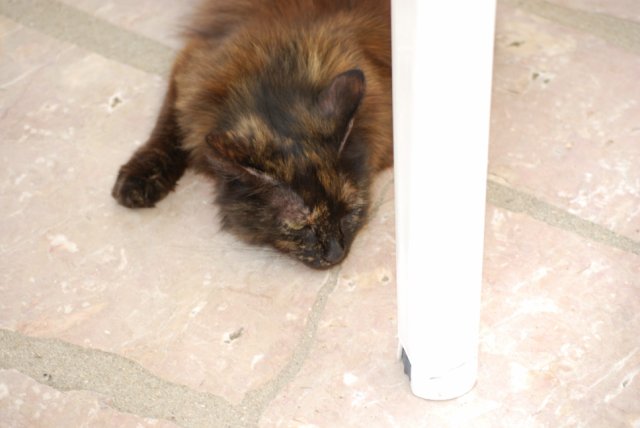 famille_052009_0324 .jpg